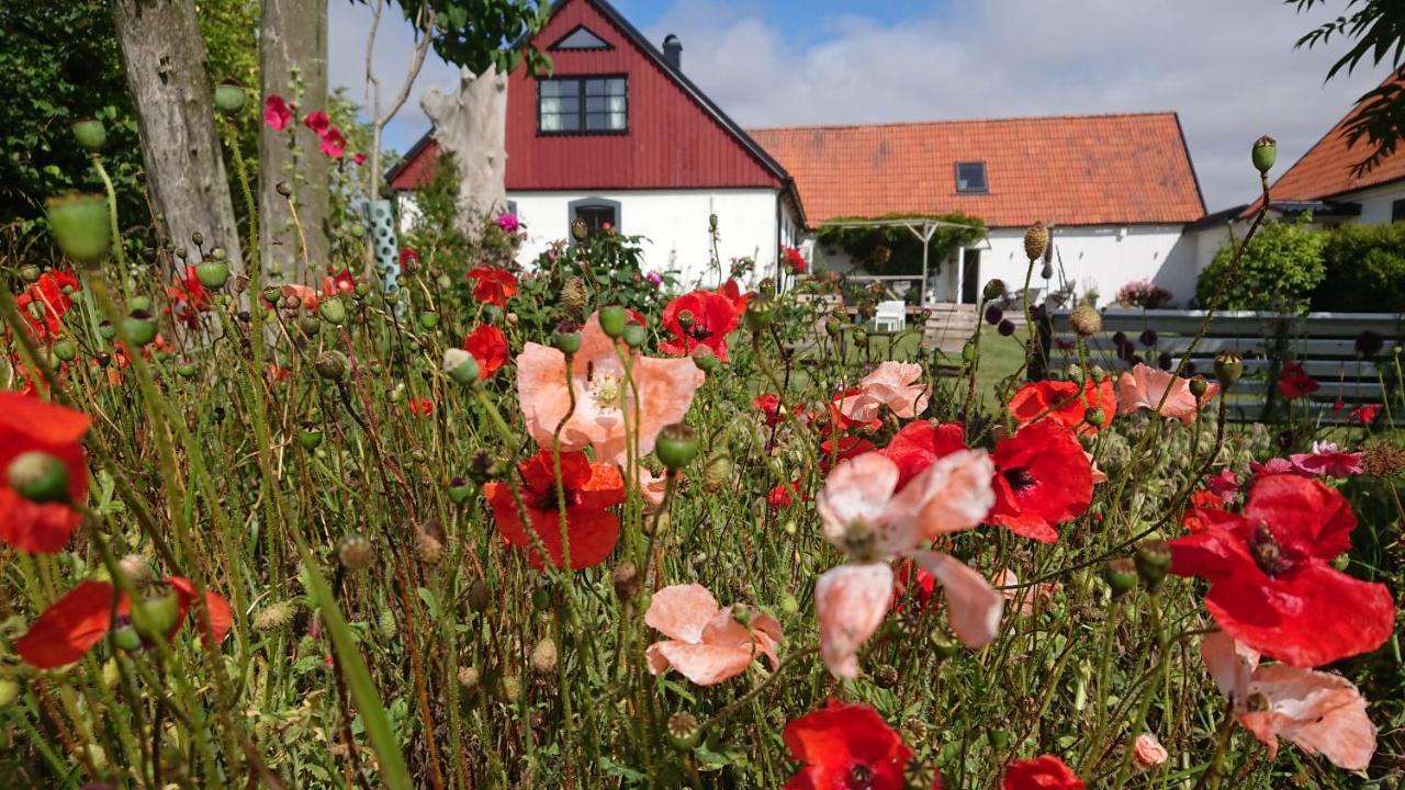 Garden Mellan Slotten Svarte Екстер'єр фото