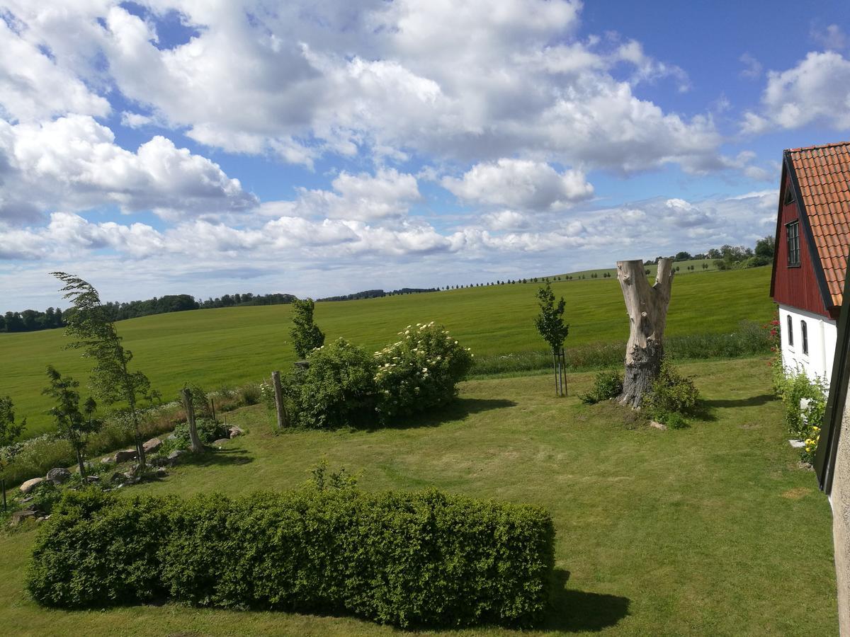 Garden Mellan Slotten Svarte Екстер'єр фото