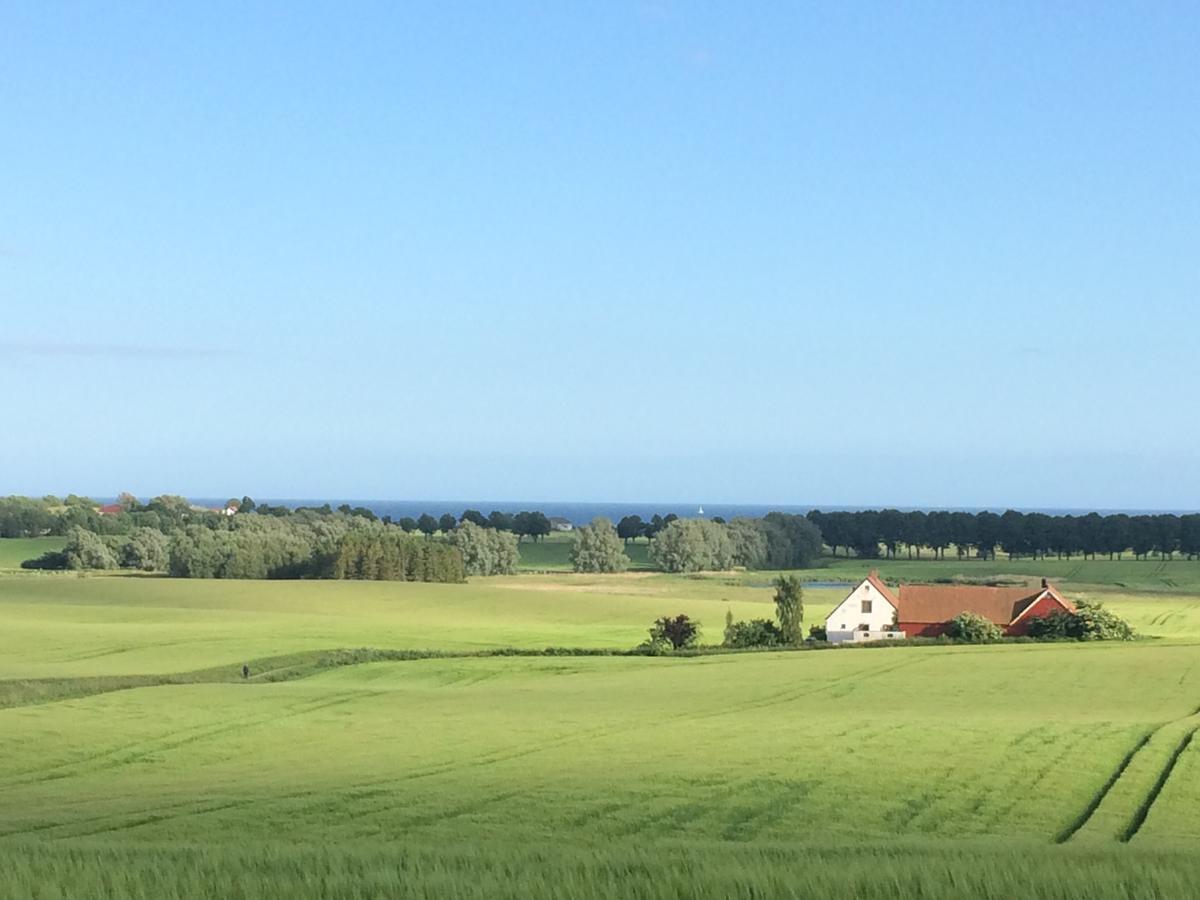 Garden Mellan Slotten Svarte Екстер'єр фото