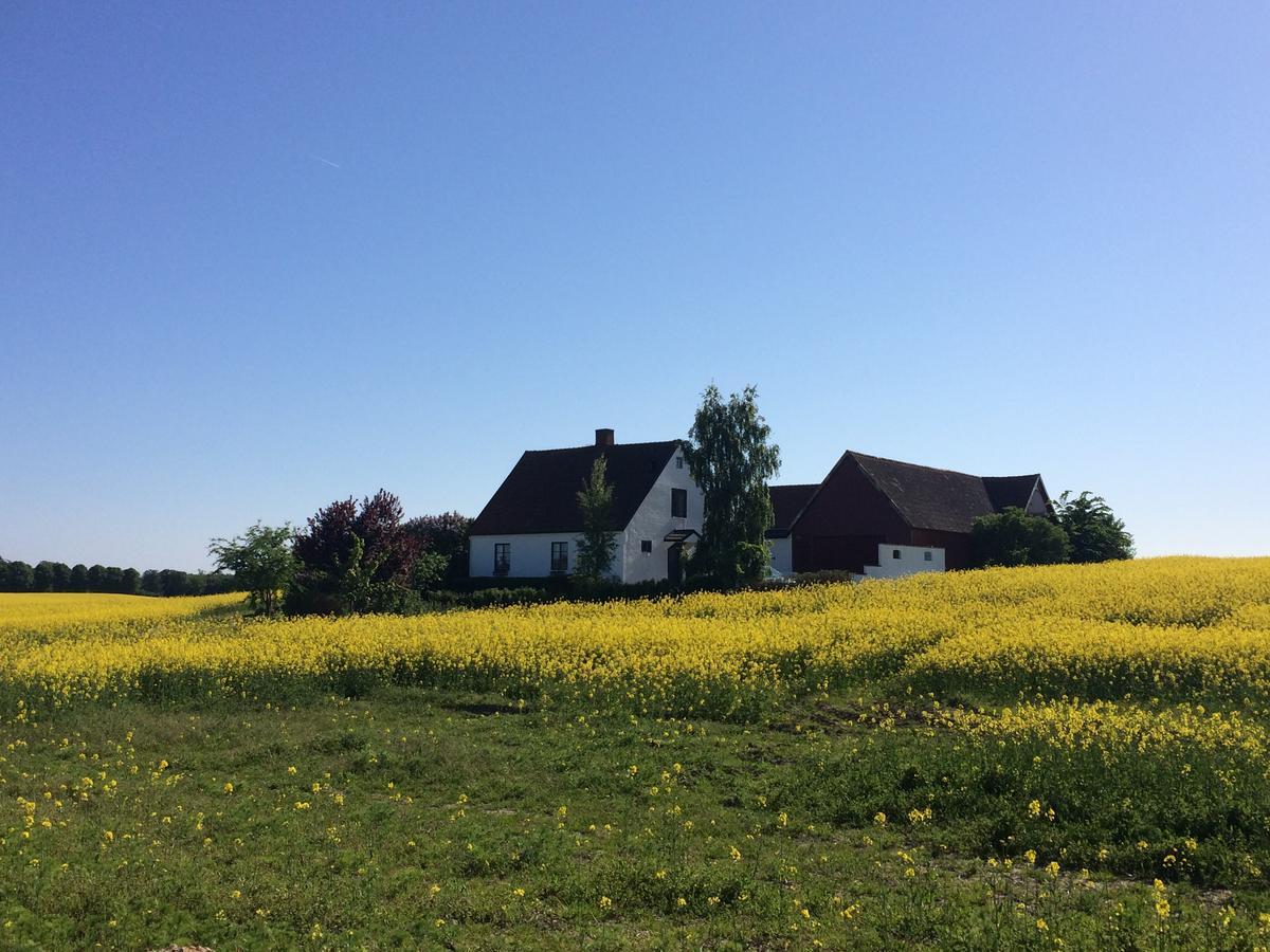 Garden Mellan Slotten Svarte Екстер'єр фото