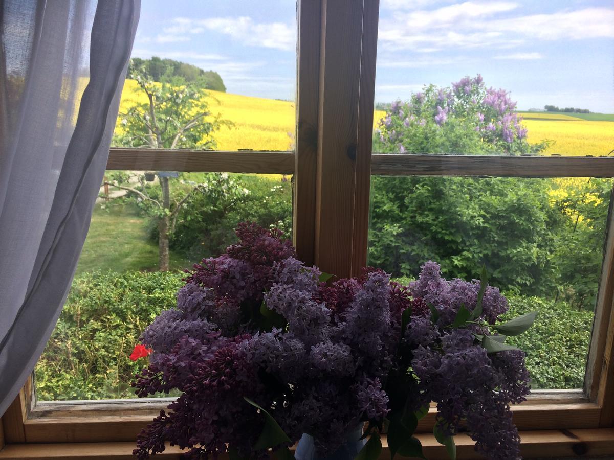 Garden Mellan Slotten Svarte Екстер'єр фото