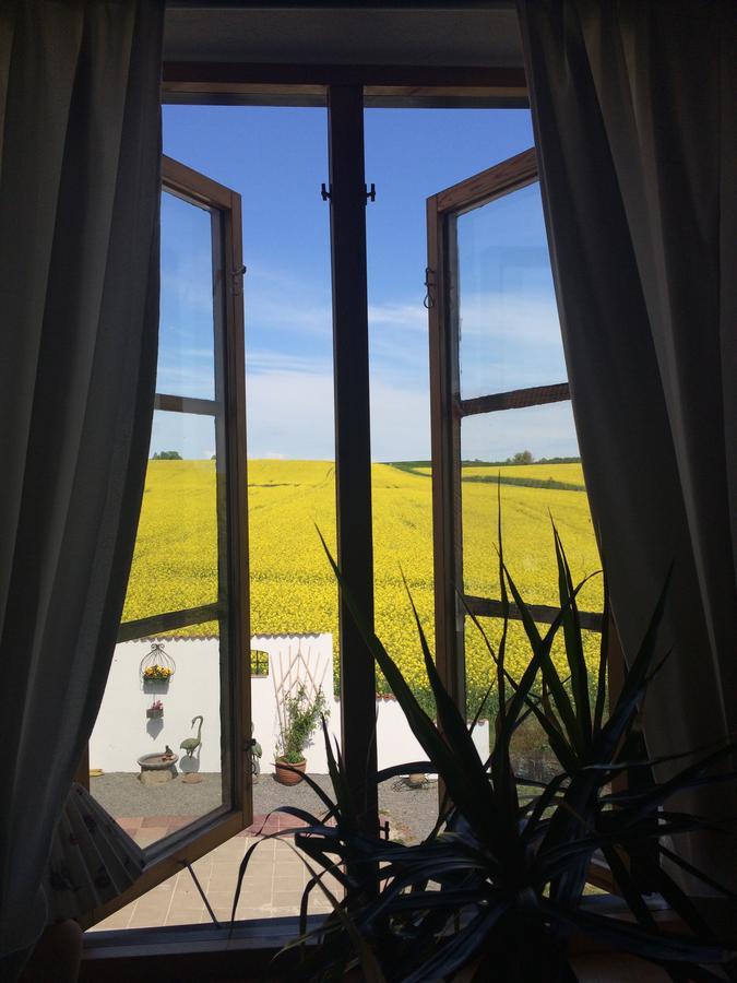 Garden Mellan Slotten Svarte Екстер'єр фото