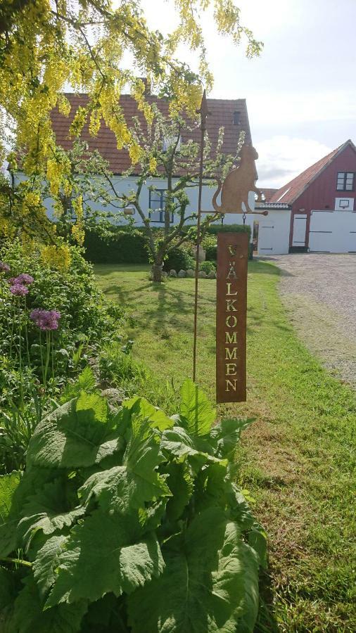 Garden Mellan Slotten Svarte Екстер'єр фото