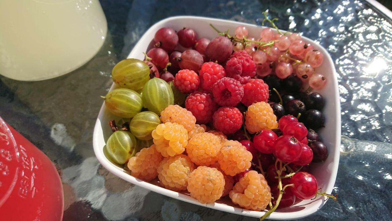 Garden Mellan Slotten Svarte Екстер'єр фото